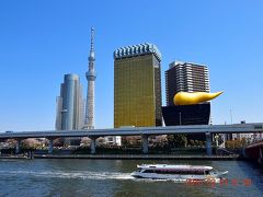 【東京散策79-2】 2018春！ 快晴の隅田川テラスを歩く 《左岸後編：新大橋～桜橋》