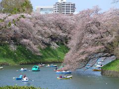 桜が散る前に弾丸日帰り花見ツアーin東京　Part6は東京の桜花見名所と言えば千鳥ヶ淵!!　O(*^-^*)O 