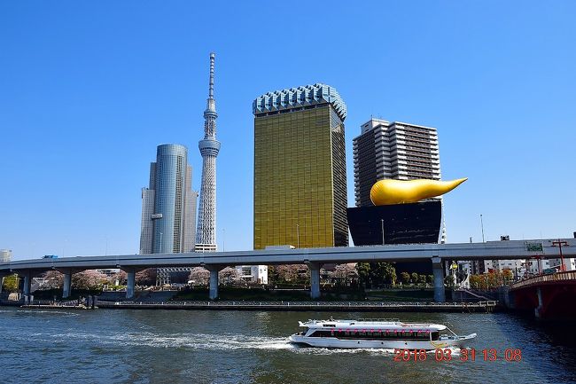 【東京散策79-2】 2018春！ 快晴の隅田川テラスを歩く 《左岸後編：新大橋～桜橋》