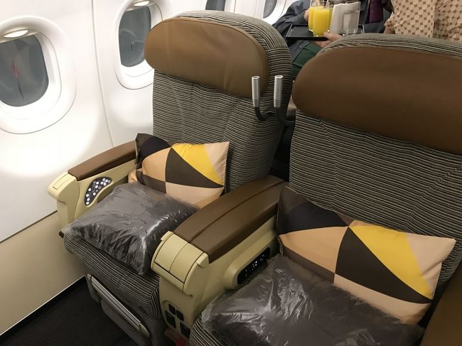 エティハド航空のビジネスクラスで成田からアブダビを経由してカイロまでのチケットを取りました。<br /><br />カイロ発券のチケットが安いとはいえ、カイロ空港のアライバルビザが約5000円、ホテル代なども考えるとエジプト滞在すると結構な出費です。<br /><br />カイロは何度か訪ねているので、そのまま乗り継いでアテネへ向かうことにしました。<br />カイロ→アテネはエジプト航空の片道チケットを予約しました。<br /><br />さて問題はエティハド航空とエジプト航空のチケットが別切りのため、バゲージを通しでアテネまで預けることができません。<br />またカイロ空港のターミナルが到着のエティハド航空がターミナル2、出発のエジプト航空がターミナル3です。もちろんアライバルビザを取得して入国して荷物を受け取りターミナル間を移動すれば問題なく乗り継げるのですが、荷物を受け取るためだけに高額のビザ代を払うのはもったいないです。<br />飛行機の遅れも考慮して乗り継ぎ時間5時間を確保。<br />入国せずに無事乗り継げるかレポートします。