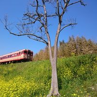 ちょっぴり春の千葉☆南房総の旅～！