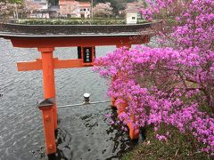 花見先を探してやっと見つけた庄原上野公園の桜