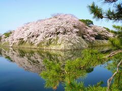 "行ってみたい日本の絶景"の一つ彦根城の桜を見に・・・＜前編＞