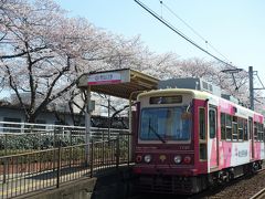 見頃前だろうが満開過ぎだろうがSundays only (泣) 都営まるごときっぷでお花見 by 東京さくらトラム through 荒川区