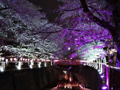 2018年週末花見計画　目黒川沿いの桜を愛でる編