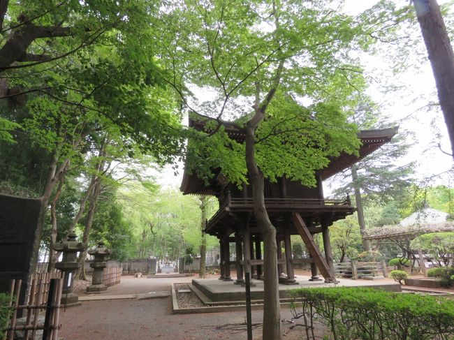 4月7日、午後2時半に自宅より約5キロ離れた多福寺を訪問するために自転車で行きました。　目的は3月26日訪問後の変化を見るためです。　たった12日経た後、桜の花は全く終り、新緑が進んでいて多福寺の境内は美しかったです。<br /><br /><br /><br />*写真は山門である呑天閣に掛かる春紅葉の新緑