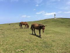 四十路女のひとり旅 in 与那国島