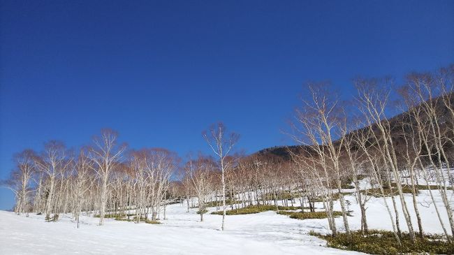 春休みは十勝へ再びモール温泉を求めて行ってきました。<br />前回の北海道旅行は登別温泉に浮気してしまいました。<br />今回は十勝のモール温泉へ。<br />４月の十勝はまだ冬！滞在中雪が降りました(^-^;<br />