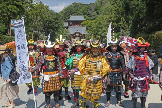 けんいちの1人旅です。<br /><br />桜が終わると新緑の季節です。朝起きると良い天気でしたので、地元・鎌倉の天園ハイキングコースを歩いてきました。<br />