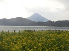 冬の鹿児島 ２泊３日  ①【指宿編】