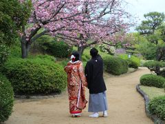 大阪LOVER♪【国立国際美術館・中之島公園・中央公会堂・堺 大仙公園(日本庭園)】