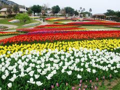 ２０１８年の春！オードリー・ヘプバーン写真展～須磨浦公園の敦盛桜ライトアップ～淡路夢舞台のチューリップ～新潟県・新発田の桜～神戸元町に黄色い美しい花、「イぺ」開花！