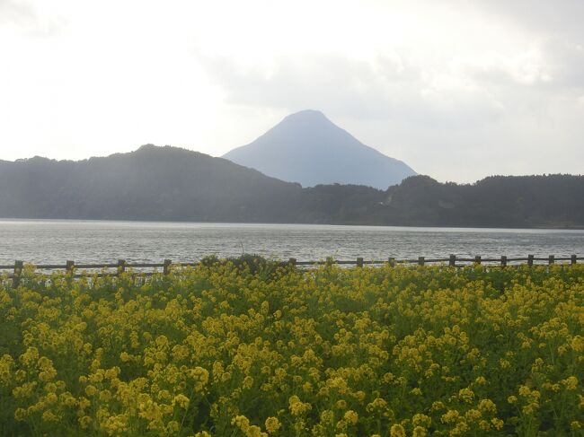 旅行直前の天気予報では西から寒気が流れ込む影響で<br />九州地方でも降雪との予報が・・・<br /><br />１日目　羽田空港→鹿児島空港→鹿児島中央駅→指宿(休暇村指宿泊)<br />２日目　路線バスで指宿観光→鹿児島中央(タイセイアネックス泊)<br /><br />３カ月ぶりの鹿児島。前回同様、１日目は指宿泊。<br />【参考】開聞岳～高千穂の峰　指宿・知覧・霧島を巡る旅(1/2)<br />http://4travel.jp/travelogue/11334963<br /><br />旅行期間中の天気の割合：80%曇り、15%雨、5%晴れ。<br /><br />東京よりも寒かったです！