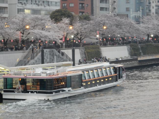 朝、播磨坂で桜見物。<br />その際に都バスの一日券を買ったので、フル活用して、浅草。<br />勤務先から近いのになかなか行けないエリアです