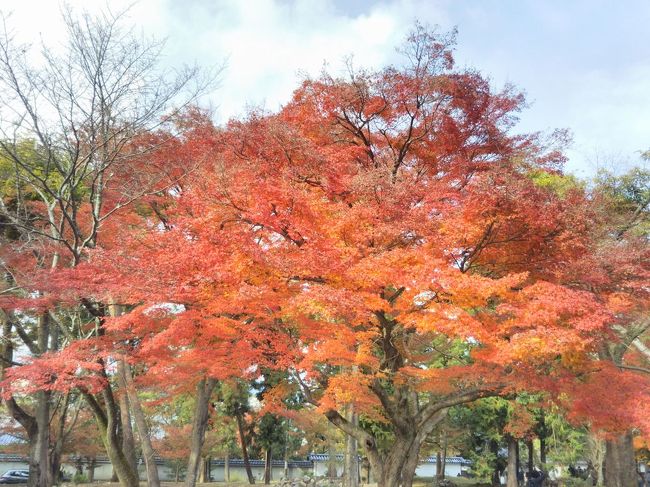 たまには「ベタ」な観光旅行1711 　「仕事仲間のマダム達と紅葉を見に行きました。　　"南禅寺＆永観堂”」　　～京都～