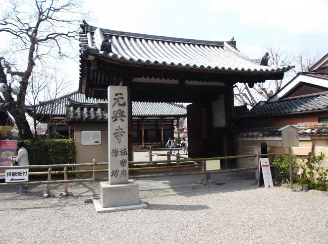 世界遺産、元興寺見学しました。サクラがとても綺麗でした。