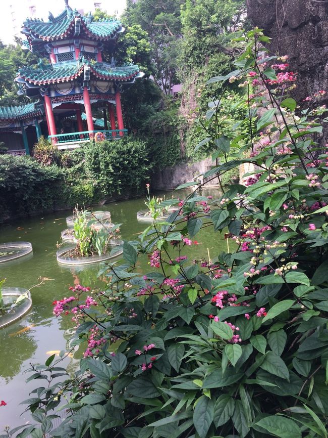 2回目の香港。<br />両親と妹と海外旅行へ行くことに。<br />最初はシンガポールへ行く予定だったけど、何とかって蚊の感染症<br />を心配して香港となりました。<br /><br />グダグダ旅行となったけど、いい経験と思い出に。<br /><br /><br /><br />往路 関空発 18:35 <br /> 香港着 21:35<br /><br />復路 香港発 11:30<br /> 関空着 16:20<br /><br />航空券(キャセイパシフィック航空)<br />ホテル(Park Hotel) ¥246,673(4人分) \61,669/人<br />機内持ち込み手荷物7kg<br />受託手荷物 20kg