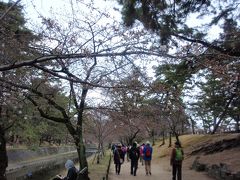 夙川桜ウオーク　（夙川さくら道～西宮震災記念碑公園～芦屋神社～ＪＲ住吉山手駅）