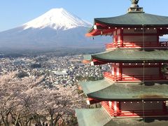 桜と富士山