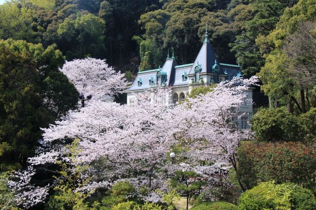 ANAのマイレージがたまったので1泊2日で愛媛県に行くことにしました。<br />今回の旅の目的は①青空の下とライトアップされた松山城の満開の桜を見ること②来年から改修工事が始まる予定の道後温泉本館で改修工事前の温泉を楽しむこと③司馬遼太郎の小説「坂の上の雲」のゆかりの地を巡ること④愛媛の郷土料理や銘菓をいただくことなどです。<br />道後温泉、松山に絞って出来る限り巡ってみました。<br />四国八十八箇所霊場の第五十一番札所の石手寺から道後温泉へ向かい道後公園(湯築城跡)で花見や道後温泉本館で温泉を堪能などした後松山に移動。<br />日本100名城であり日本さくら名所100選にも選ばれている松山城の夜桜や快晴の下の花見を楽しんだあとANA最終便出発時間まで松山を散策しました。松山と言えば「坂の上の雲」。その主人公である秋山兄弟、正岡子規ゆかりの場所を巡りました。<br />表紙は、萬翠荘