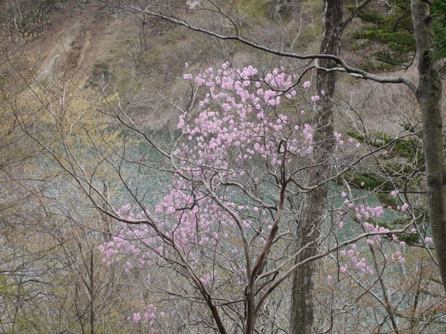 今年は桜も早く咲いてしまいました。4月も1週間を過ぎると東京の桜も終わり。<br />暑い日もあり、まだまだ寒い日もありの4月ですが、春の塩原温泉郷に出かけました。<br />土日の旅行でしたが、春休みも終わった頃だったので、思ったほど人は多くありませんでした。<br />温泉でゆっくりと過ごす旅です。<br /><br />春の塩原②☆おやど小梅や、七つ岩吊橋、那須千本松牧場さくら祭り☆2018/04/07はこちら<br />https://4travel.jp/travelogue/11347957<br />