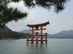 はじめての広島旅行① （宮島）