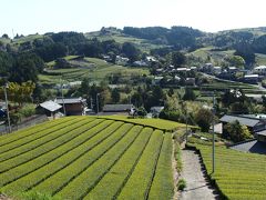 桜舞う大展望の粟ヶ岳に登る♪　富士山も見えたよ