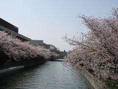 2018 春の京都①