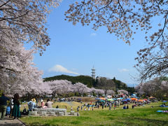 桜と富士山 =岩本山公園= 2018.04.01