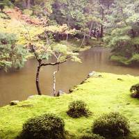 京都のんびり1泊2日*苔寺*嵐山*1人旅