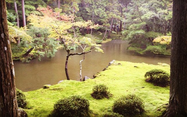 紅葉がまだ色づく前の10月上旬。<br />いつか絶対に行きたい、と思ってた<br />苔寺(西芳寺)に行って来ました。<br />それがメインだったので、<br />あとはゆっくり嵐山を楽しみました。<br />