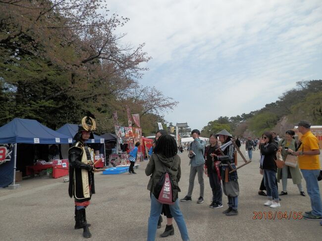 5木曜午前名古屋城酒まつり