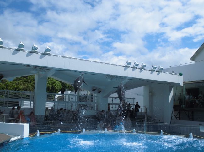 九十九島水族館、通称海きららのイルカショーを見ました。