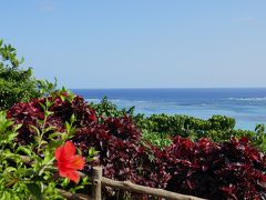 夏間近の海を満喫！石垣島、竹富島、西表島、前編