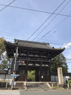 母との2人旅 京都 弥勒菩薩に会って、保津川下り、嵯峨野で人力車。