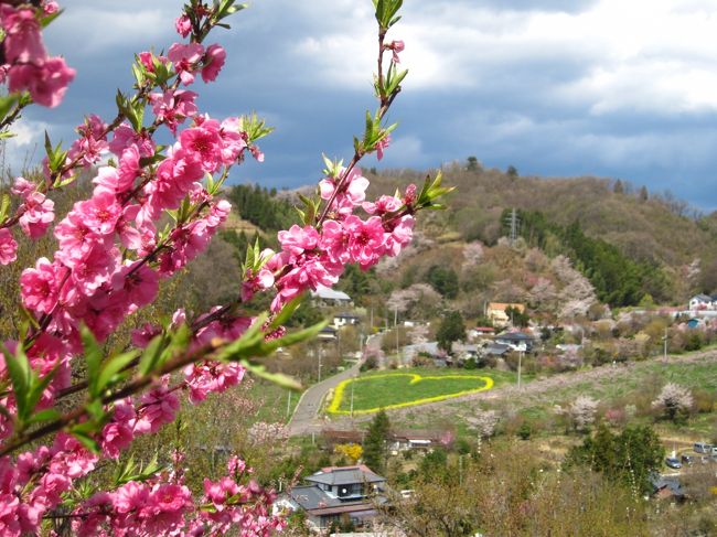 ’１８　福島 桜＆100名城さんぽ８　餃子の照井～花見山①（60分コース散策）