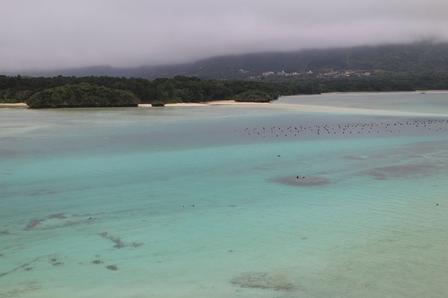 2/12～2/16まで、都心の寒波から逃げるように日本で数少ない熱帯の地八重山諸島をめぐってきました。遅めの夏休みです。<br /><br />最終日は観光バスに乗り石垣島一周。<br />唐人墓→川平湾→昼食→米原熱帯原生林→玉取崎展望台<br /><br />最終日は元々は西表島に行くはずだったのだけれども、<br />天気が悪く車の免許のない私には行っても絶望的だろうなぁと思い、<br />前日の夜飲み屋で勧められた石垣島観光バスに乗ることにしました。<br /><br />正直天気も悪く、カメラを取り出して撮影ってほとんどできなかったのであまり魅力的に伝えられないかとは思いますが、これも思い出です。<br /><br />写真はいきなり唐人墓から始まります。<br /><br />----------------------<br />旅行記は順次アップロード予定です。<br />2/12～2/13：与那国島　https://4travel.jp/travelogue/11340917<br />2/14：波照間島、黒島　https://4travel.jp/travelogue/11342043<br />2/15：小浜島　　　　　https://4travel.jp/travelogue/11345215<br />2/15：竹富島　　　　　https://4travel.jp/travelogue/11346185<br />2/16：石垣島周遊バス　https://4travel.jp/travelogue/11348054