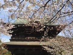 春の鎌倉・江の島一人旅①