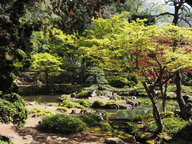 山梨県甲州市塩山小屋敷2280<br />2018.4.12　　8:30～16:30<br /><br />武田信玄菩提寺として有名ですが<br />信玄公の墓所の公開は　毎月　ご命日の１２日のみ。<br /><br />昨年より　どうしても12日に訪れる事が出来ず　この日は念願叶って<br />やっと　墓前に　お線香を差し上げる事が出来ました。<br /><br />この日は　信玄公祭り。<br />境内は　露店で　一杯!　埋め尽くされていました。<br />見どころは満載。<br /><br />四脚門　<br /><br />その朱色から赤門とも。　徳川家康の再建と伝えられるもので、国の重要文化財<br /><br />三門　　<br /><br />有名な焼き討ちが　行われた場所。<br />織田信長の焼き討ちで壮絶な火定を遂げた快川和尚の遺偈が掲げられている。<br />「心頭滅却すれば火も自ずから涼し」という最後の言葉によって知られています。<br /><br />約100人余りの僧侶が集められ、火を放たれた　悲劇の門です・・・・<br />現在のこの三門は、まさしくその悲劇の現場に建てられている。<br /><br />庫裏から　寺社内を拝観<br /><br />うぐいす廊下・方丈庭園<br /><br />明王殿　<br />こちらには　信玄の髪を漆に混ぜ込み作られたと言う<br />等身大の不動明王が安置されており、「武田不動」として尊崇されています。<br />凄い迫力!　<br />こちらは　撮影禁止<br /><br />武田信玄公墓所　毎月１２日に　公開されます。<br />やっと　お参りが出来ました。<br />こちらも撮影は禁止<br /><br />信玄公の墓所の裏には<br />武田家家臣の墓約７０基も後陣に並んでいます。<br /><br />柳沢吉保墓所・霊廟<br /><br />徳川綱吉公　側用人だった彼も甲州人として　こちら　恵林寺さんを菩提寺に眠っています。<br /><br />最後は　<br />恵林寺庭園<br /><br />国の名勝指定を受けている庭園　四季の移り変わりを楽しめる　素晴らしい庭園ですね。<br /><br /><br />