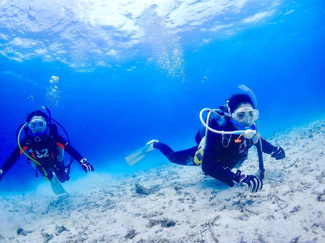 修行には定番の石垣島<br />今回は夫と娘を巻き込んでPP稼ぎましょう！<br />楽しく観光しながらSFCゲットだぜ<br /><br />エアー<br />ANA89 羽田-石垣空港 6:15-9:20<br />ANA90 石垣-羽田 12:45-15:25<br />宿泊 フサキビーチリゾート<br /><br />1日目:<br />のばれ岬観光農園でパイナップルジュース<br />高嶺酒造で泡盛見学と試飲<br />川平湾で石垣ブルー<br />嘉とそばで海老そばランチ<br />マングローブカヤック<br />ホテルビュッフェ<br /><br />2日目:<br />体験ダイビング<br />きたうち牧場で焼き肉ランチ<br />ユーグレーナモールでお土産<br />さよこのサータアンダギーと石垣の塩<br />バンナ公園でホタル鑑賞<br />居酒屋ご飯<br /><br />3日目:<br />ファーマーズマーケット ゆらてぃく市場<br />知念商会でオニササ<br />