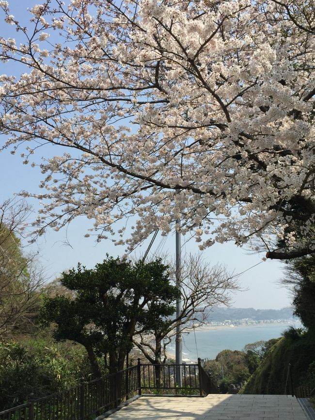 鎌倉を巡った1日目。2日目は長谷から初めての江ノ島へ。