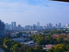 2018年 3月　東京桜づくし　乾通り一般公開　　