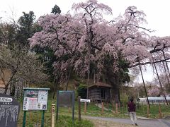 2018年4月 福島県の桜巡り＋αの夫婦旅☆福島県郡山市から喜多方市、そして東京都内へ☆郡山の桜、三春滝桜、喜多方市日中線枝垂れ桜、東京都調布市武蔵野の森総合スポーツプラザ・羽生結弦選手凱旋アイスショー『Continues～with  Wings～』観覧と日本橋高島屋羽生結弦展