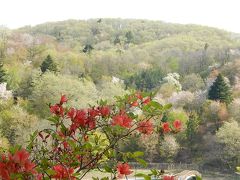 今年初めての秩父ハイキング⑤長瀞・野土山へ