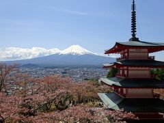 新倉山浅間公園　「富士の眺め日本一」富士山、五重塔、さくら