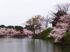 上越高田『桜まつり』　～　春日山へ