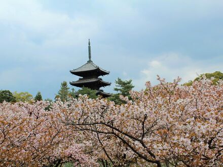 京都