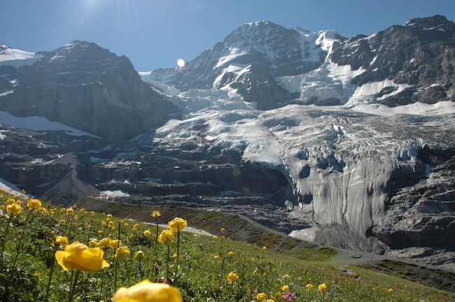 スイスを縦断しているヨーロッパアルプス中央、アイガー(3,980m)の麓村グリンデルワルトに８泊します。<br /> 他は帰国時に機内で１泊するだけです。実はスイス旅行ではなく「グリンデルワルト旅行」です。