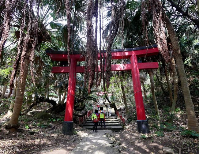 1230　佐多岬　　エントランスに到着　現在遊歩道工事中で，灯台守広場には行けず，更に大きく迂回しなければならないことを知る．ただ1月15日に新展望台ができたことはなにより良かった．エントランスの展望台でその景観を見てから，観光案内所でコーヒー．ライスバーガーのみあり，私のみおなかが減ったので食べた．国産牛を使用した地場の物であるせいか，600円と高かった．歩行者用トンネルを越え，御崎神社へ．周りはまるでジャングル．沖縄にいる錯覚になる．さらに工事中の遊歩道を新展望台まで歩いた．ここからの佐多岬灯台のある大輪島や遠く竹島，開聞岳などが見えた．天気は曇りだったがそこそこ海の青さを感じることができた．しかしここの遊歩道づくり，ロープウエイまで通して大工事だね．<br />佐多岬の帰りに登尾集会施設付近から野首嶽周辺の壮観な山々や海の向こうの開聞岳を眺めた．<br />1504　雄川の滝に向かう