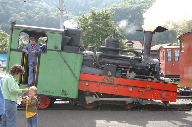 ■宿泊地：グリンデルワルト<br />■ホテル：シュヴァイツァーホフ<br />■テーマ：高山植物のマクロ撮影<br />■天　気：曇り・晴れ・雨・晴れ<br />かわいい登山電車で１時間登ったところに、高山植物園があります。<br />シーニゲプラッテ高山植物園の花たち<br />花のマクロ撮影を始めると、スイスアルプスの絶景を感じることができなくなります。今回の旅行目的はトレッキングです。まずは今日だけマクロレンズで花を撮って、以降はマクロ撮影を極力控えるつもりです。